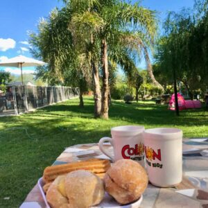 bendito alcazar cabañas de alquiler colon entre rios (17)