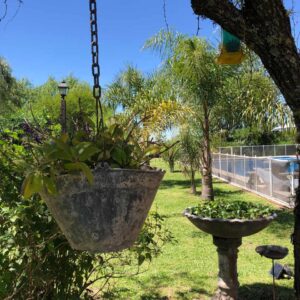 bendito alcazar cabañas de alquiler colon entre rios (27)